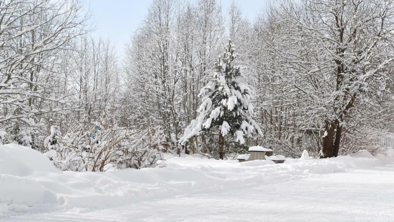 Apartman Mariana Vysoké Tatry Exterior foto